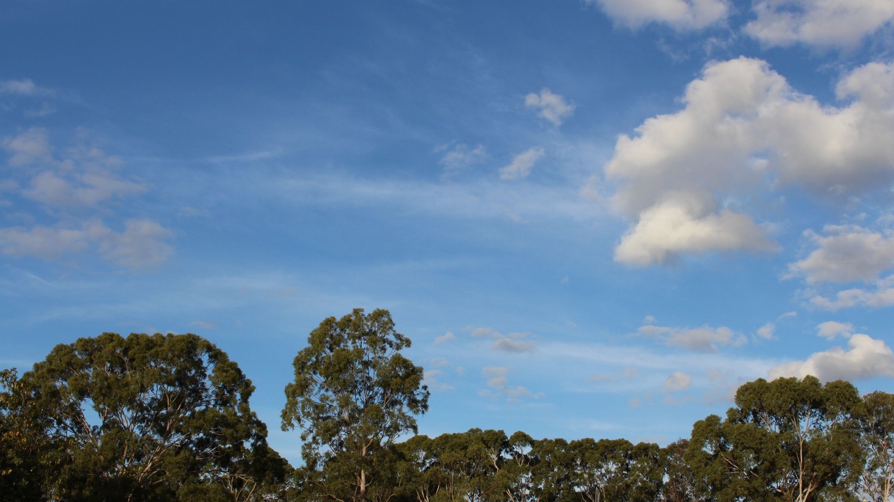 Photo of Outdoor in Tinana