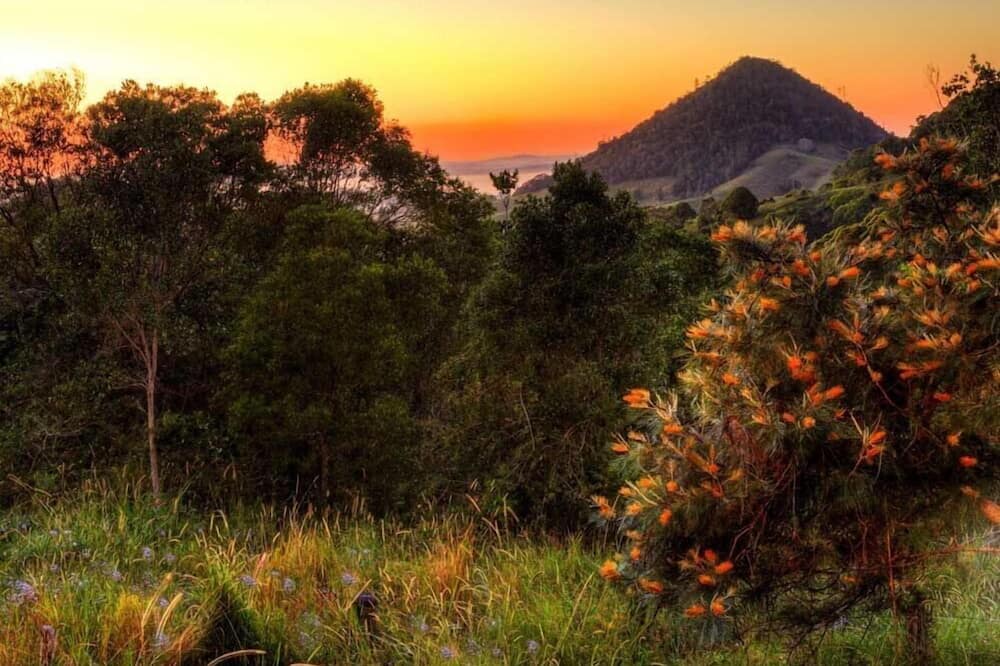 Photo of Outdoor in Cooran