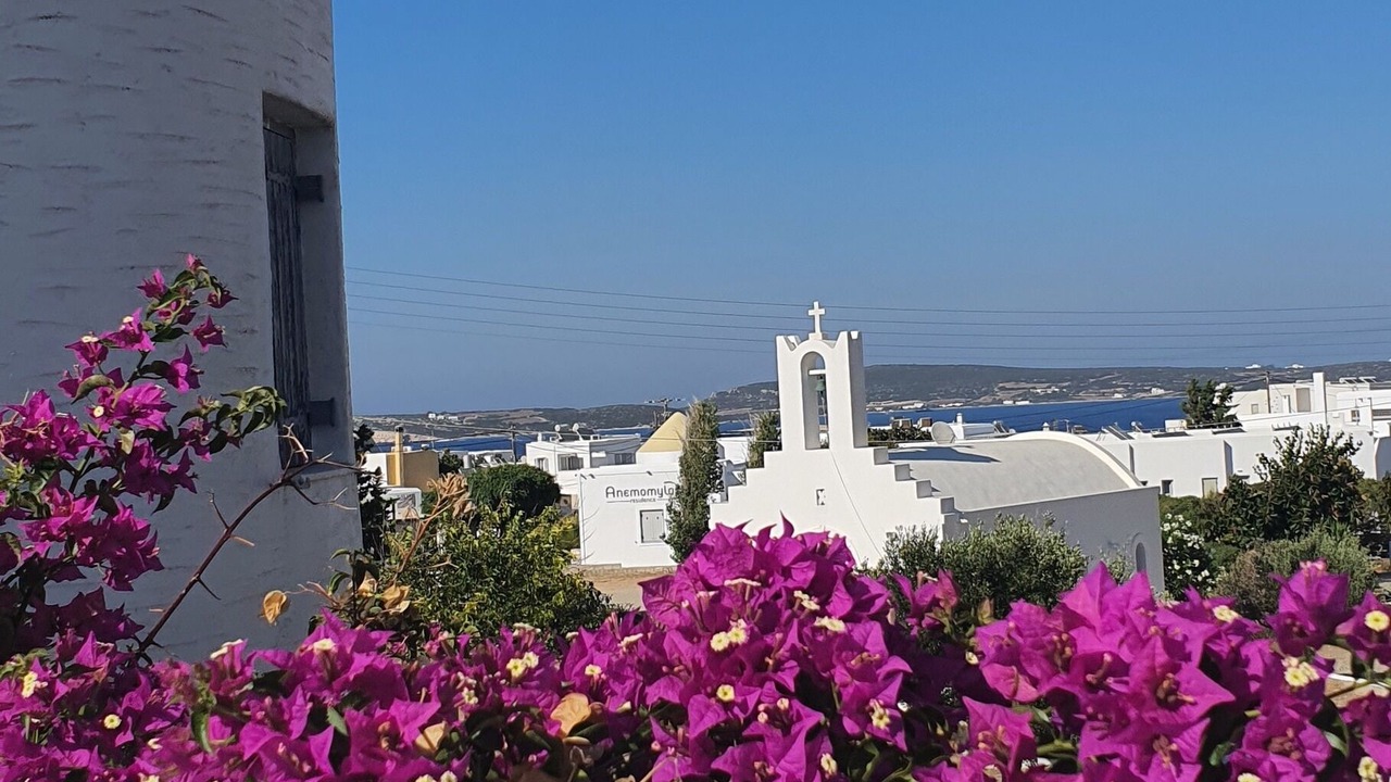 Photo of Others in Naousa