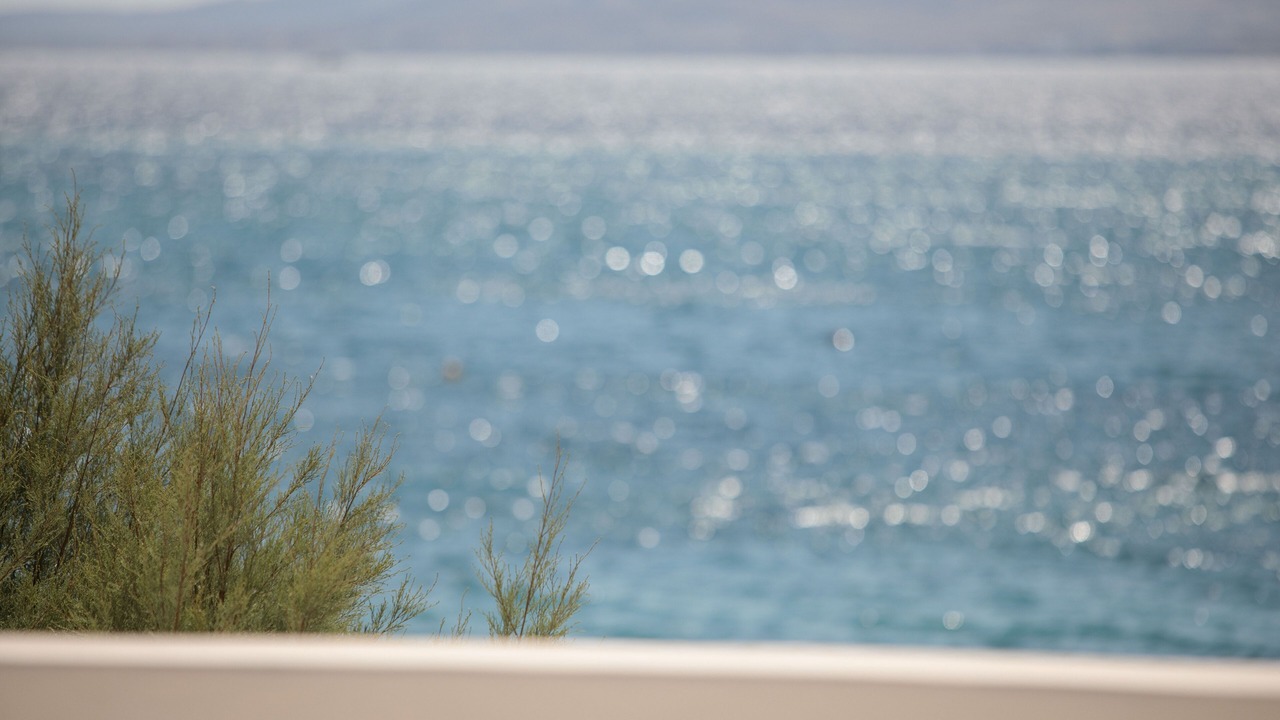 Photo of Others in Agia Anna