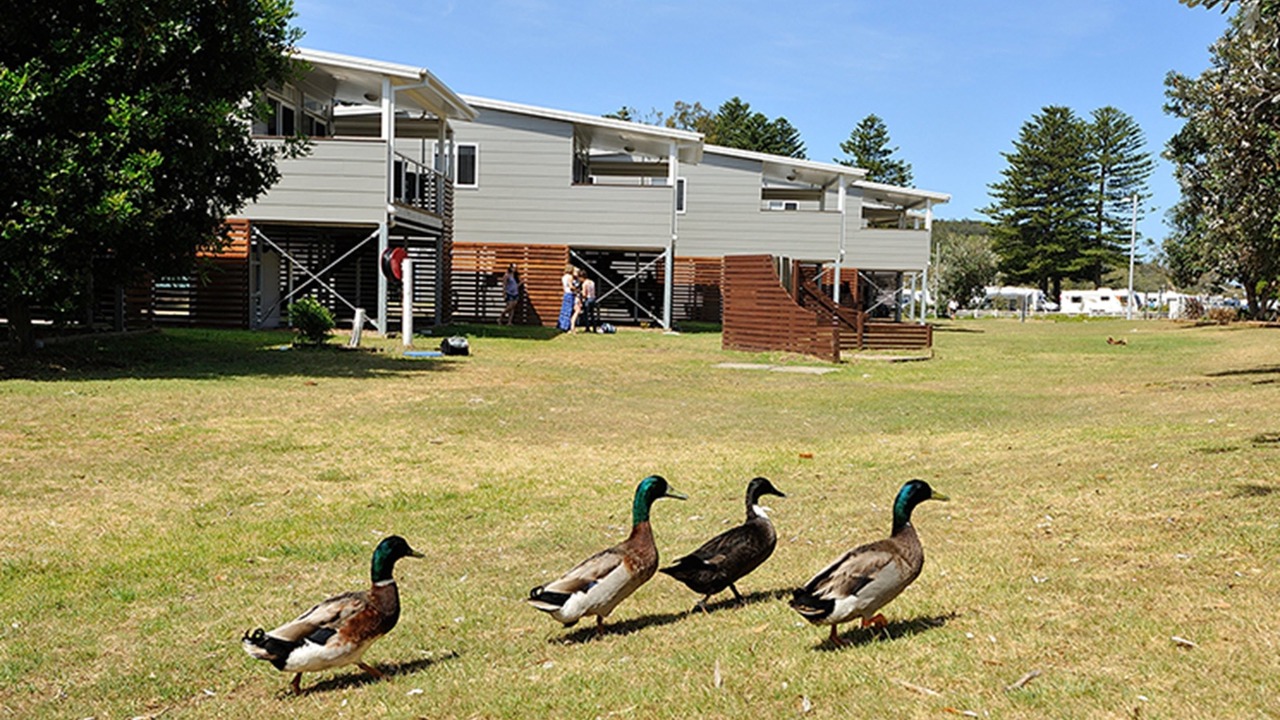 Photo of Outdoor in North Narrabeen