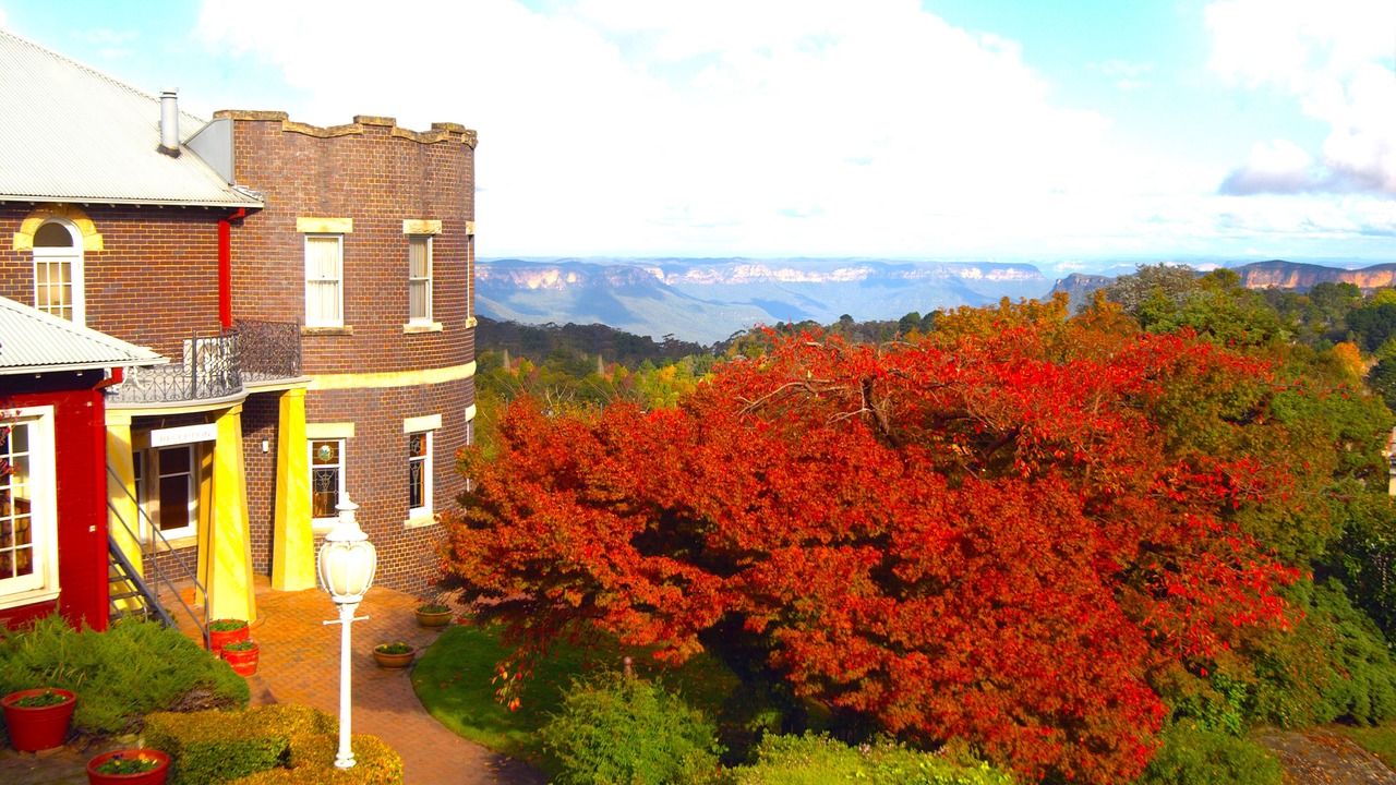 Photo of Others in Katoomba