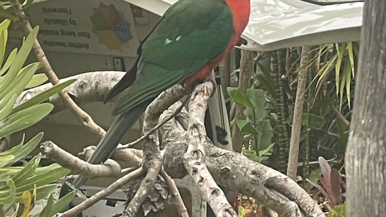 Photo of Outdoor in Ulladulla