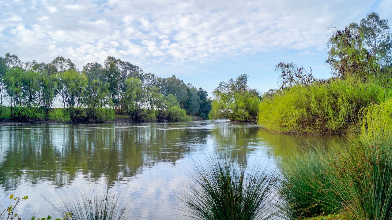 Photo of Outdoor in East Wagga Wagga
