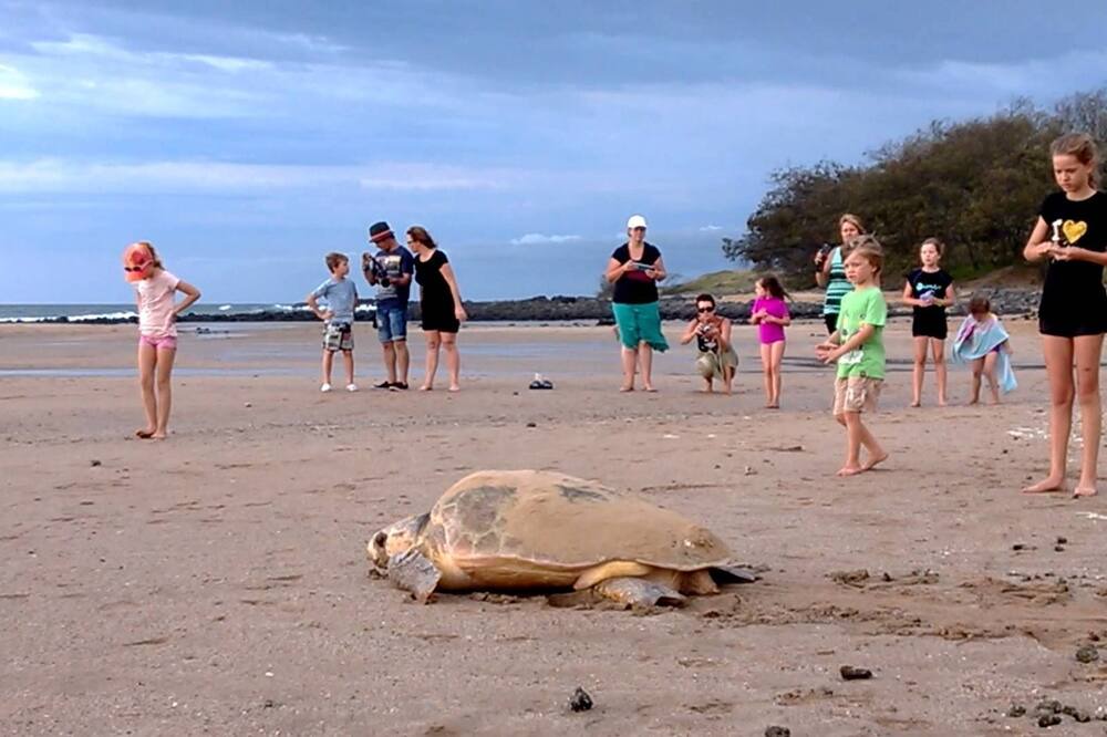 Photo of Others in Bargara