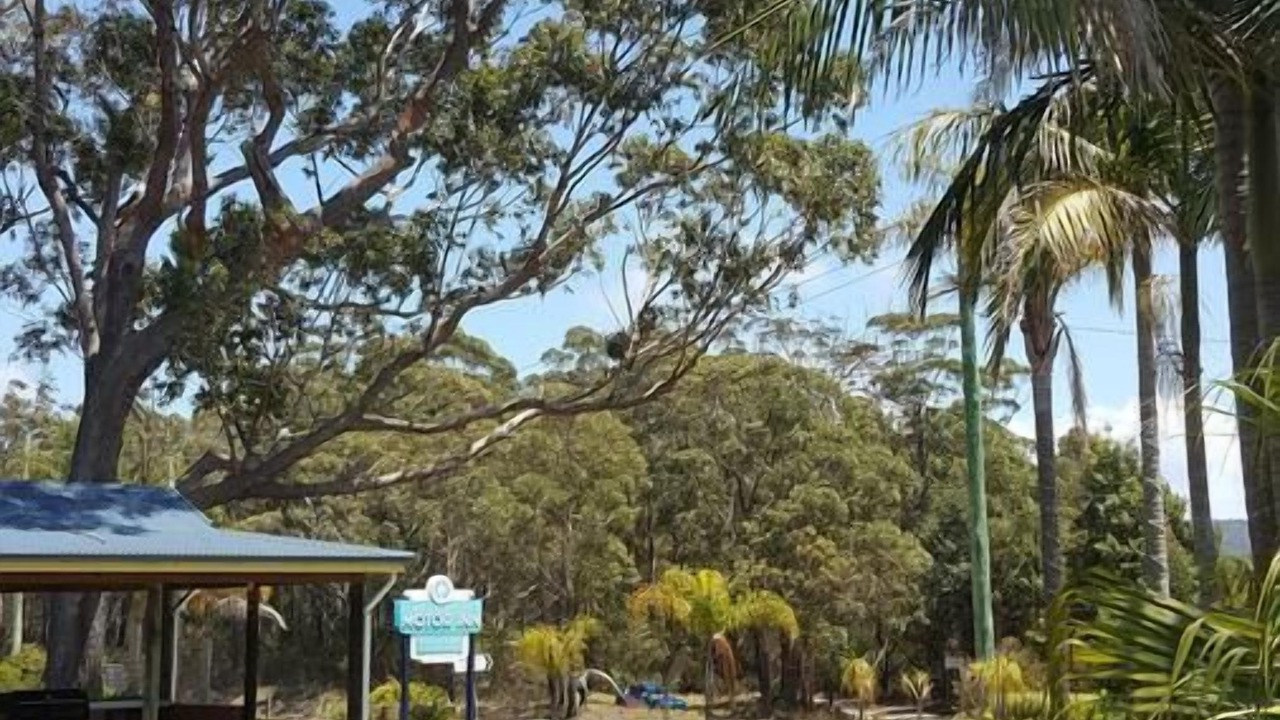 Photo of Others in Lake Tabourie