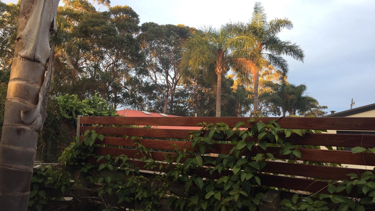 Photo of Outdoor in Broulee