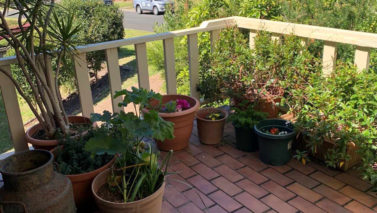 Photo of Patio Balcony in Narrawallee
