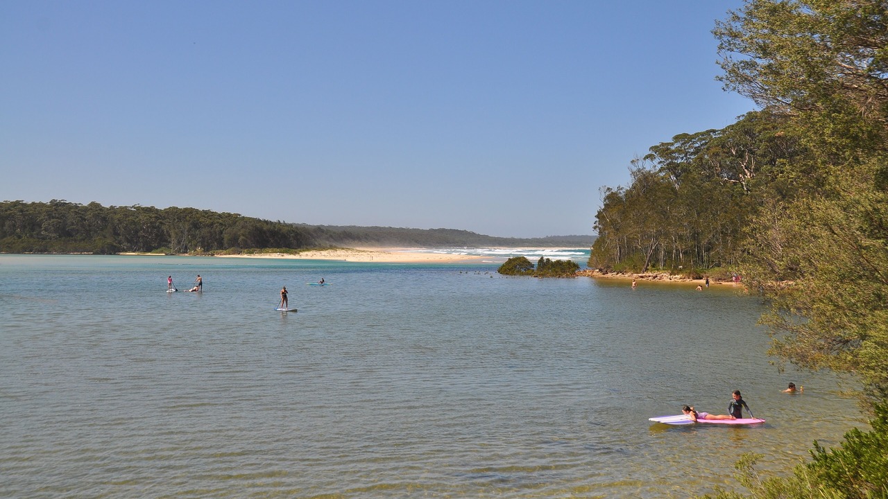 Photo of Others in Narrawallee