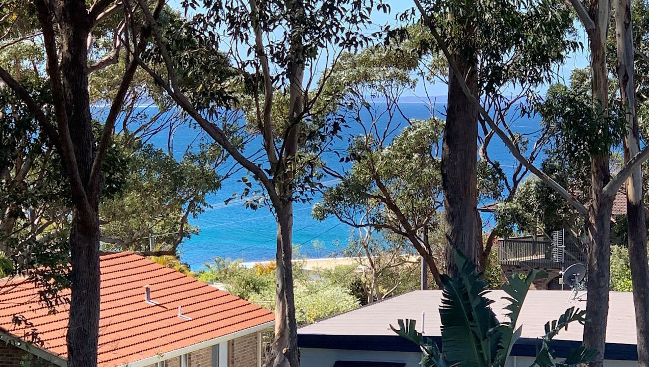 Photo of Outdoor in Narrawallee
