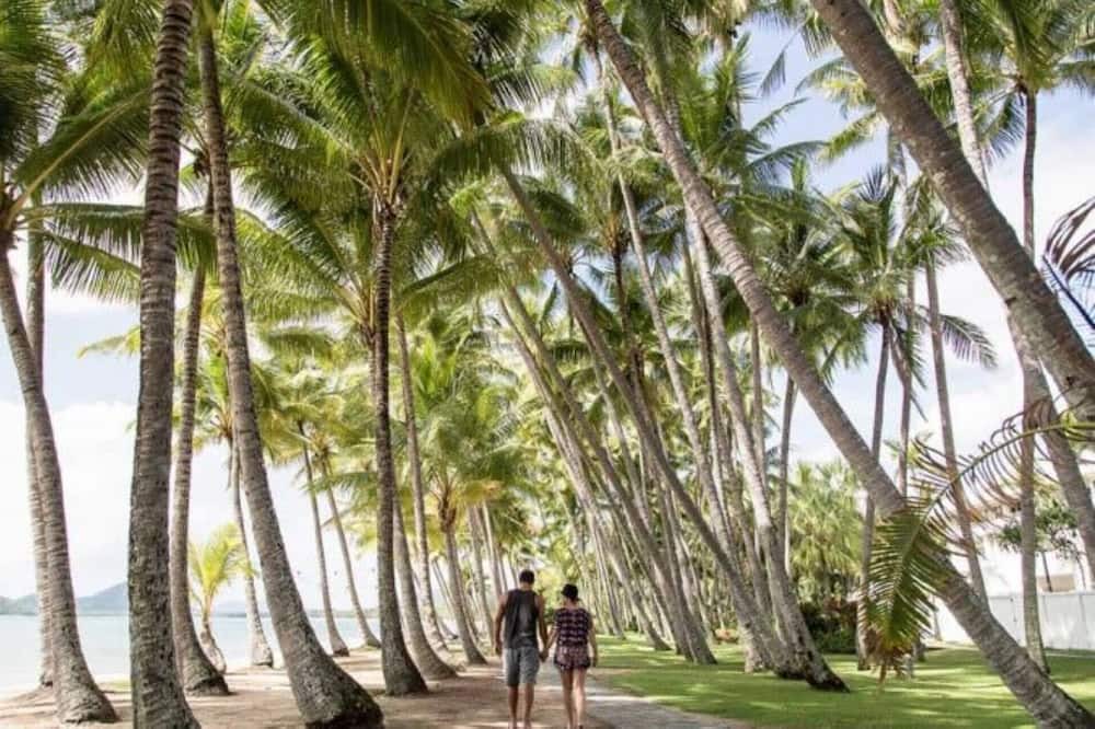 Photo of Others in Palm Cove