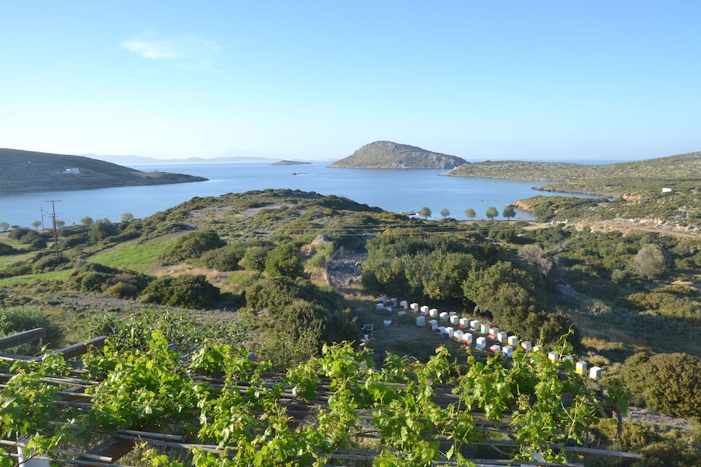 Photo of Others in Leros