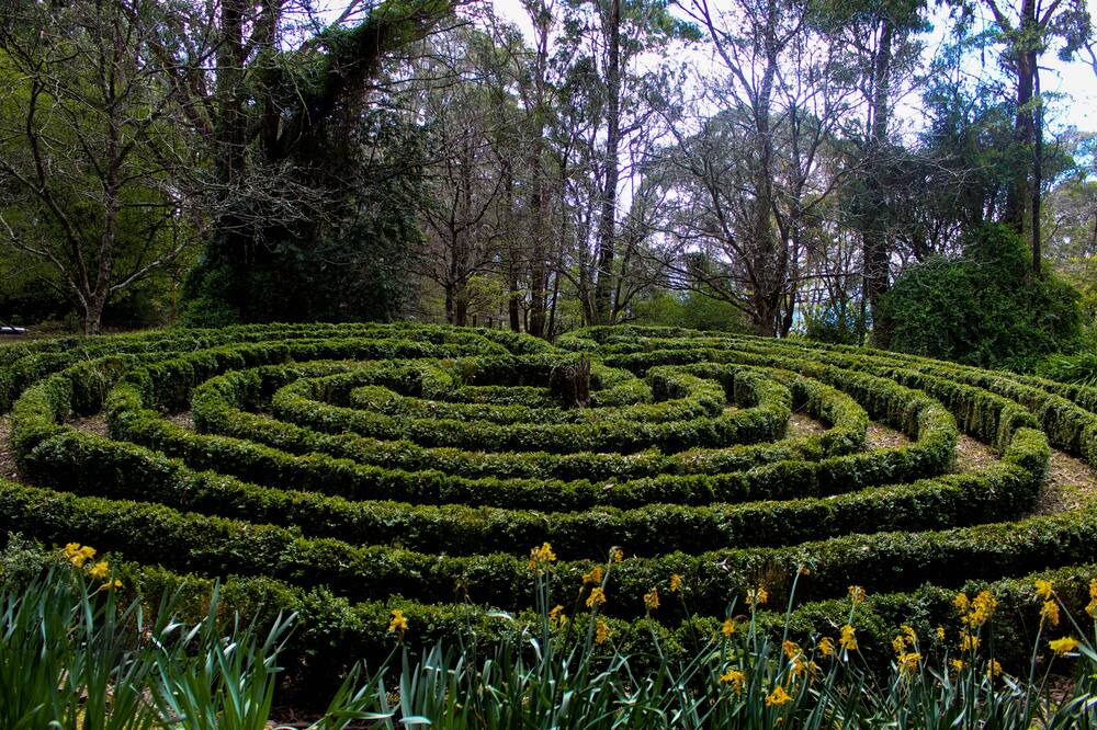Photo of Others in Mount Tomah