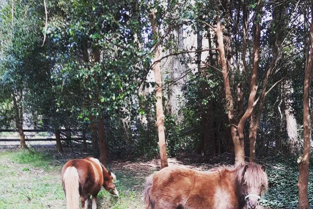 Photo of Others in Mount Tomah