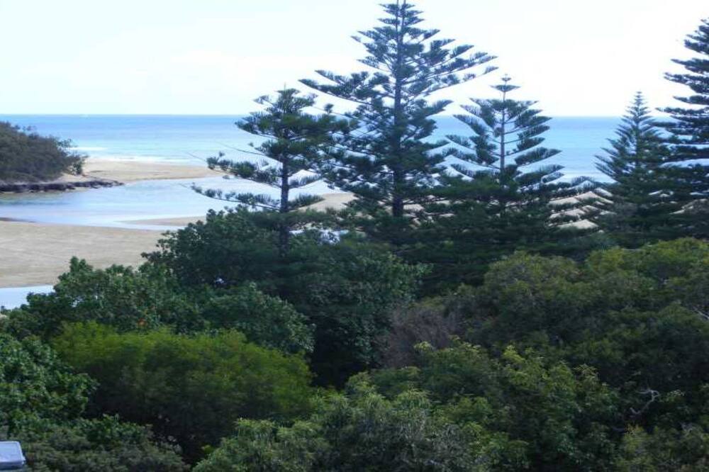 Photo of Others in Currimundi