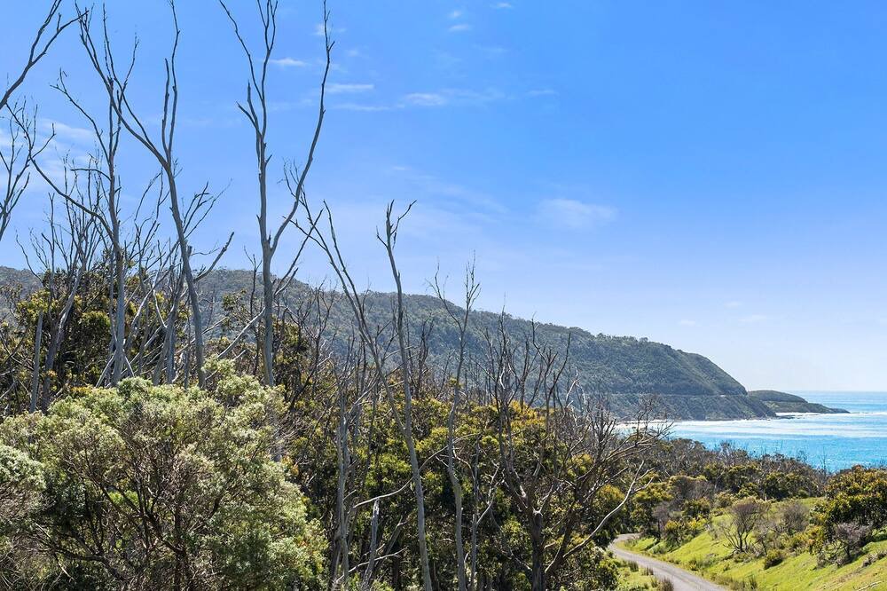 Photo of Outdoor in Apollo Bay