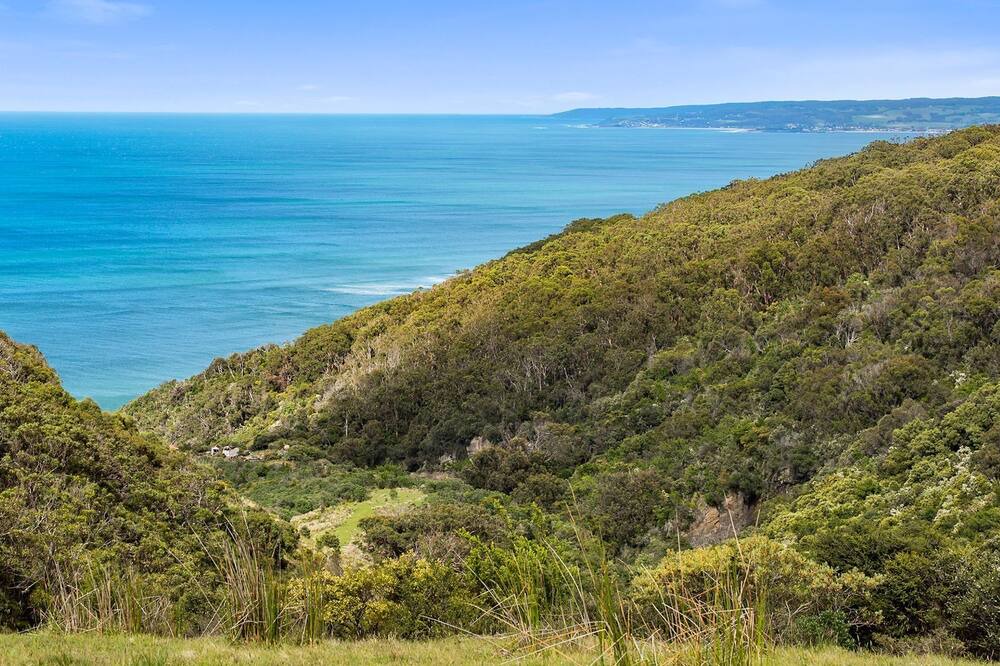 Photo of Others in Apollo Bay