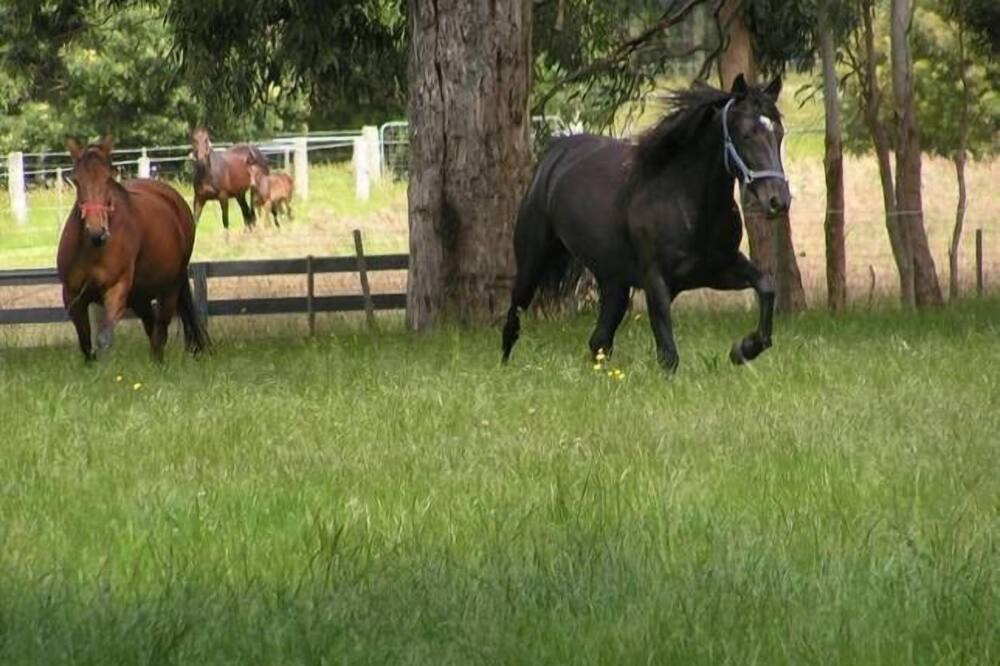 Photo of Others in Woodend