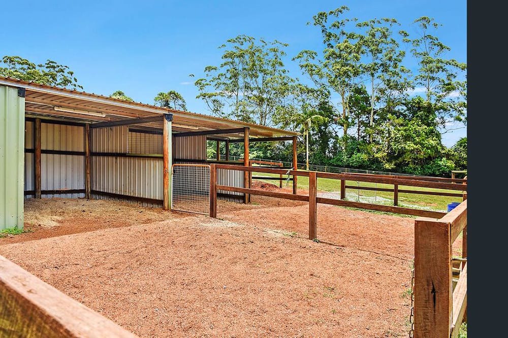 Photo of Others in North Tamborine