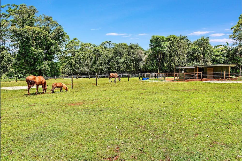 Photo of Others in North Tamborine