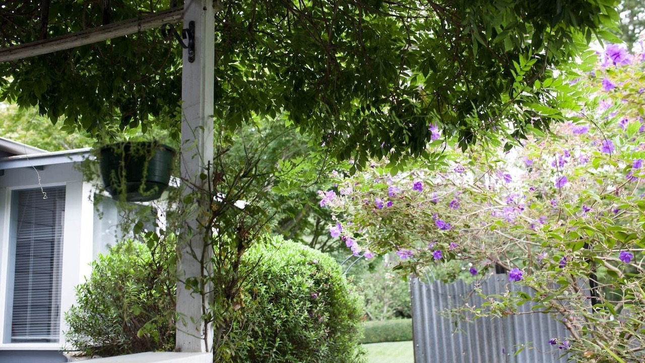 Photo of Outdoor in Leura