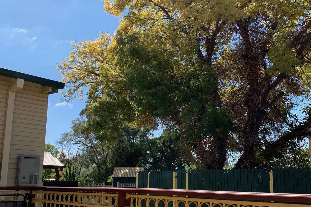 Photo of Patio Balcony in Armidale