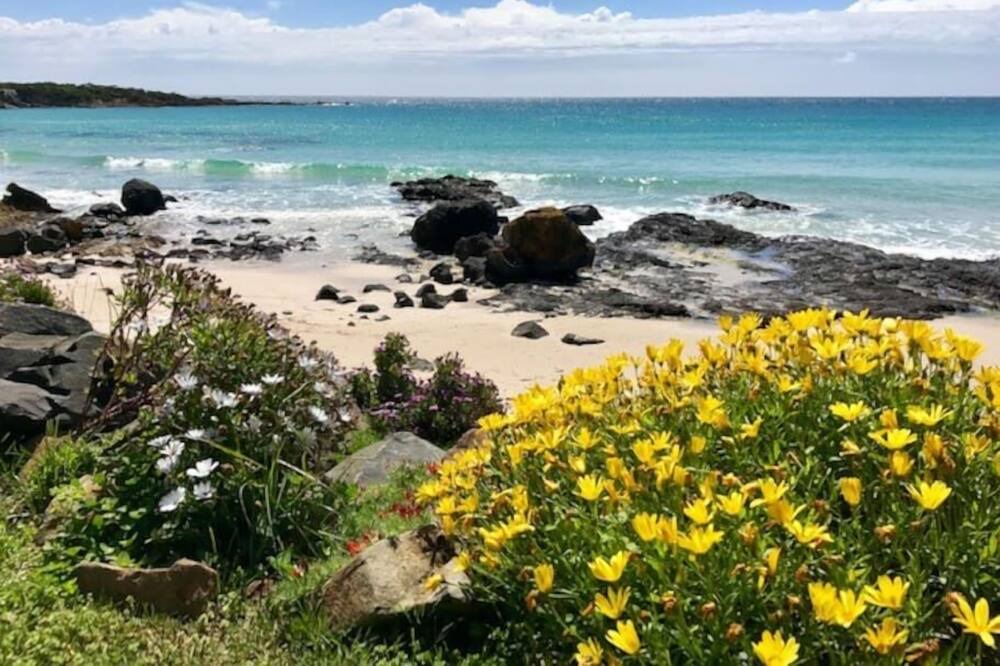 Photo of Others in Boat Harbour Beach