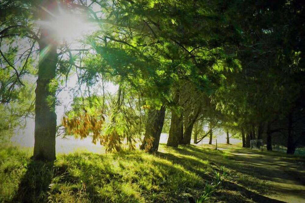 Photo of Outdoor in North Wagga Wagga