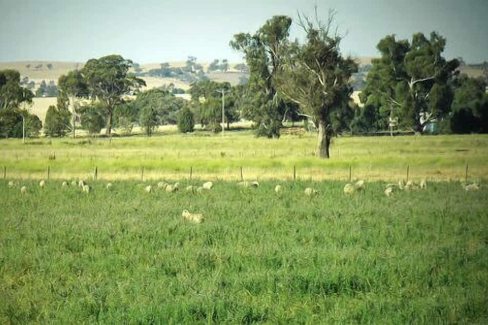 Photo of Outdoor in North Wagga Wagga