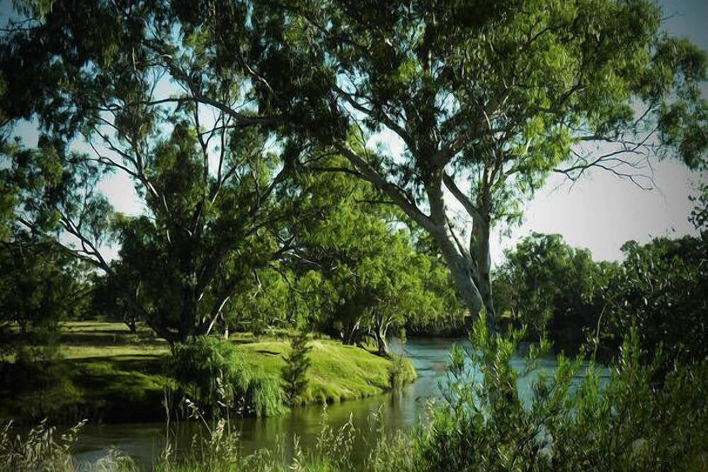 Photo of Outdoor in North Wagga Wagga