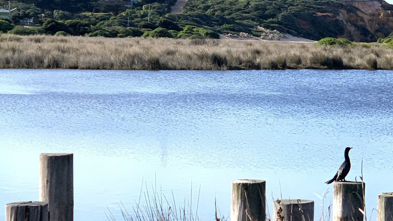 Photo of Outdoor in Aireys Inlet