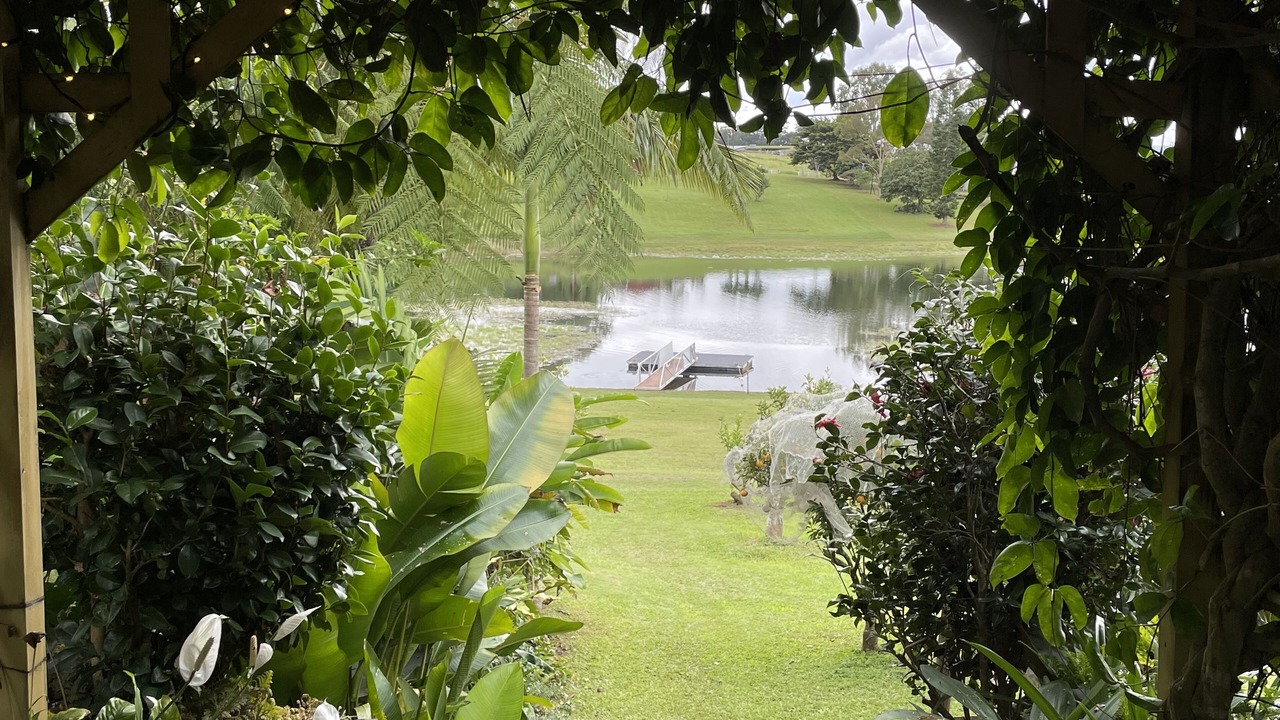 Photo of Outdoor in Yungaburra