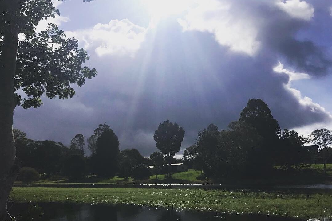 Photo of Others in Yungaburra