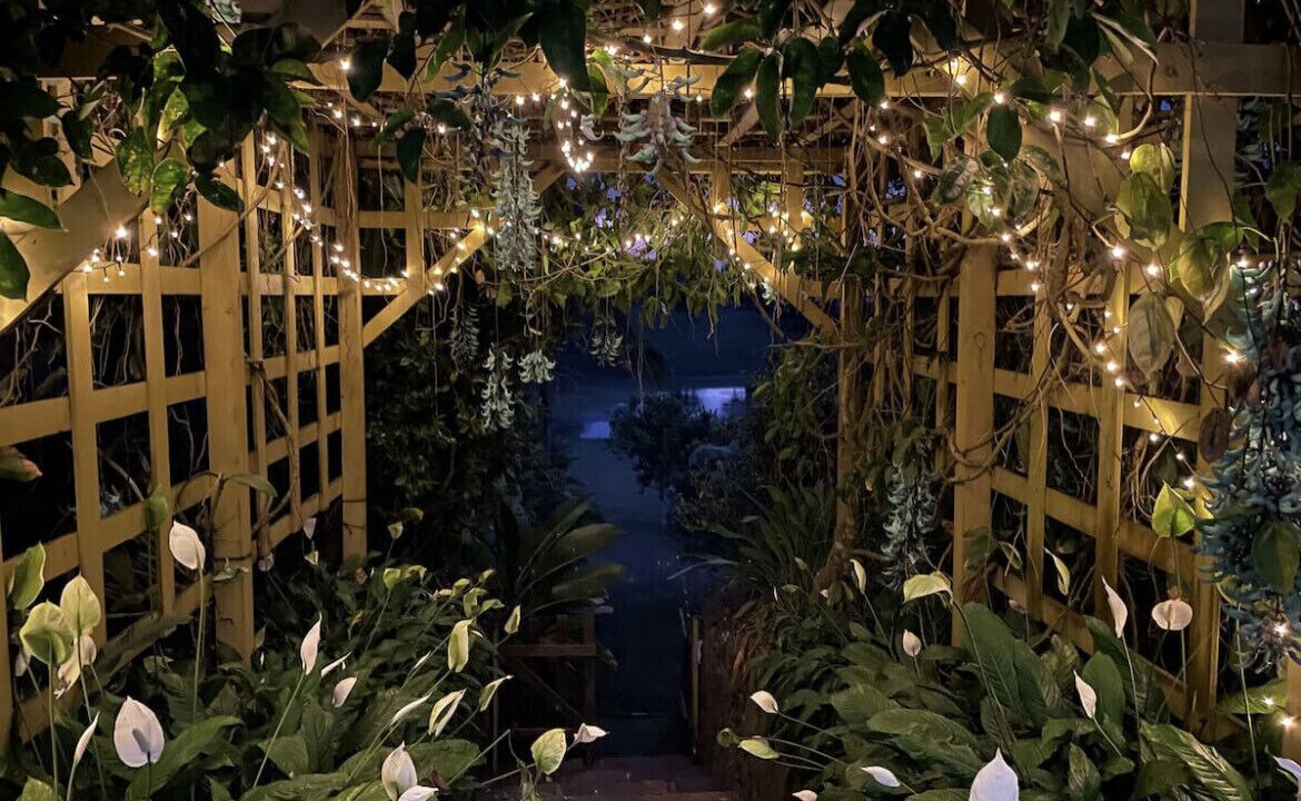 Photo of Outdoor in Yungaburra