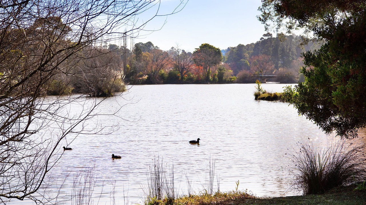 Photo of Others in Daylesford