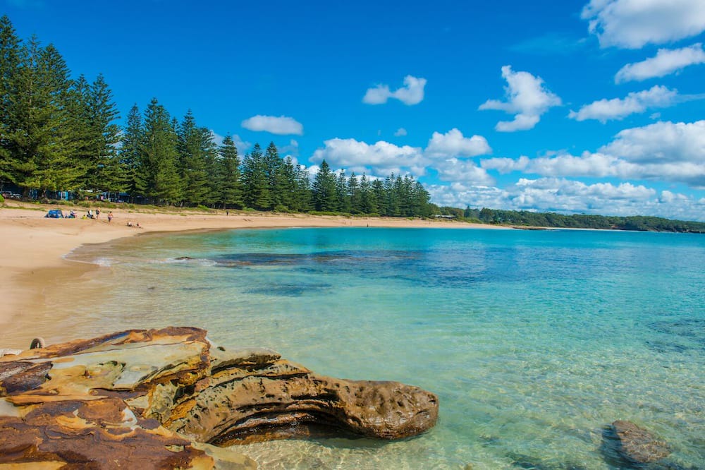 Photo of Others in South Durras