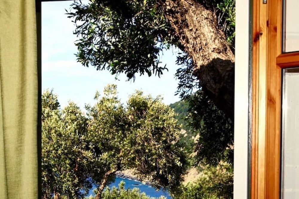 Photo of Others in Alonissos