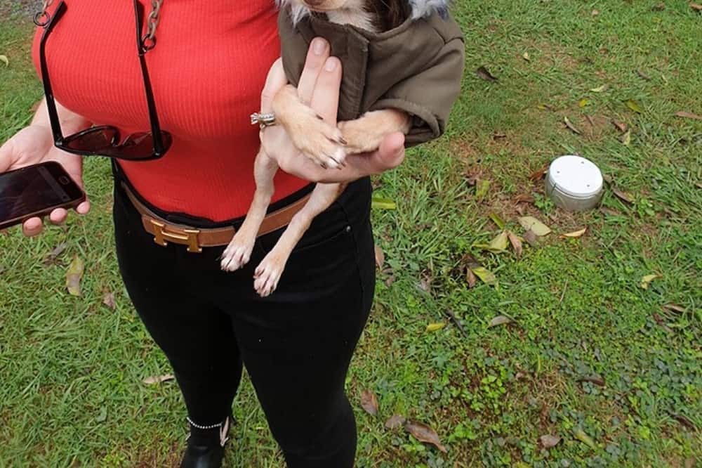 Photo of Others in Burpengary