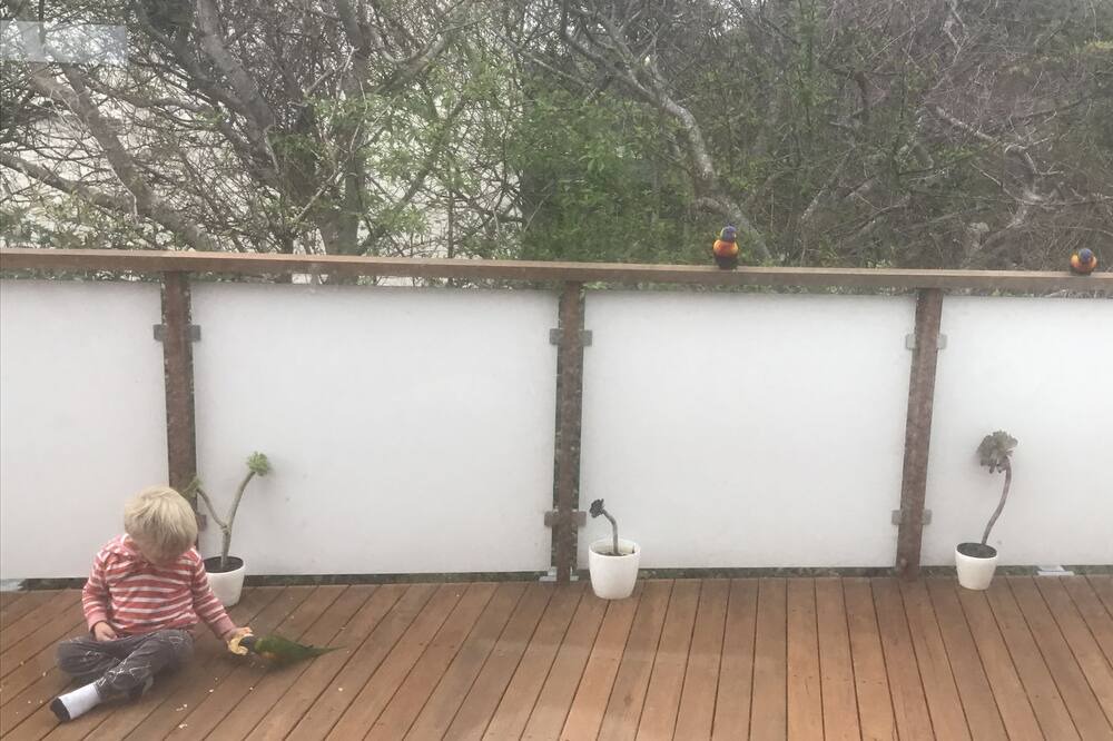 Photo of Others in Merimbula