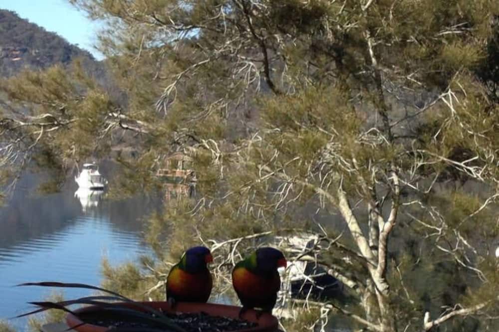 Photo of Others in Berowra Waters