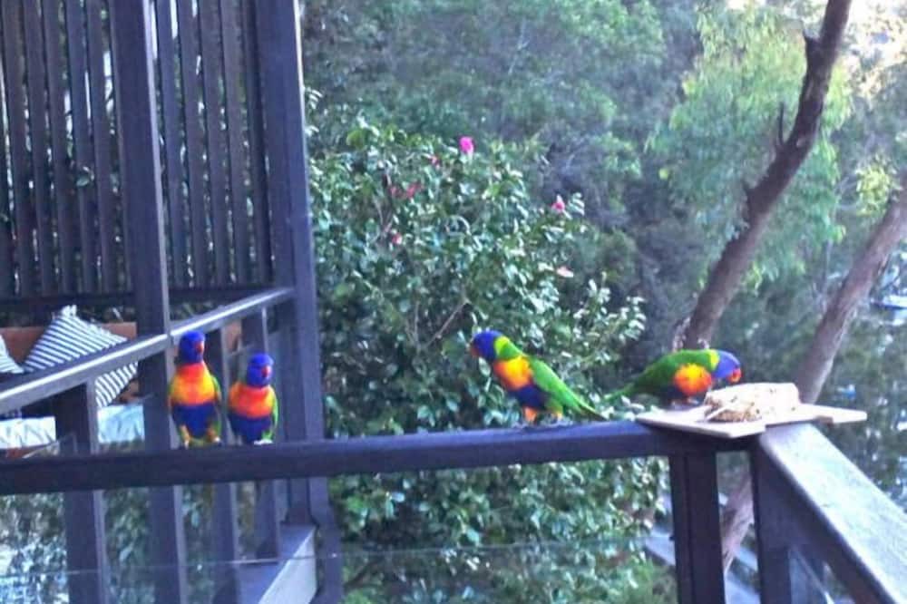 Photo of Patio Balcony in Berowra Waters
