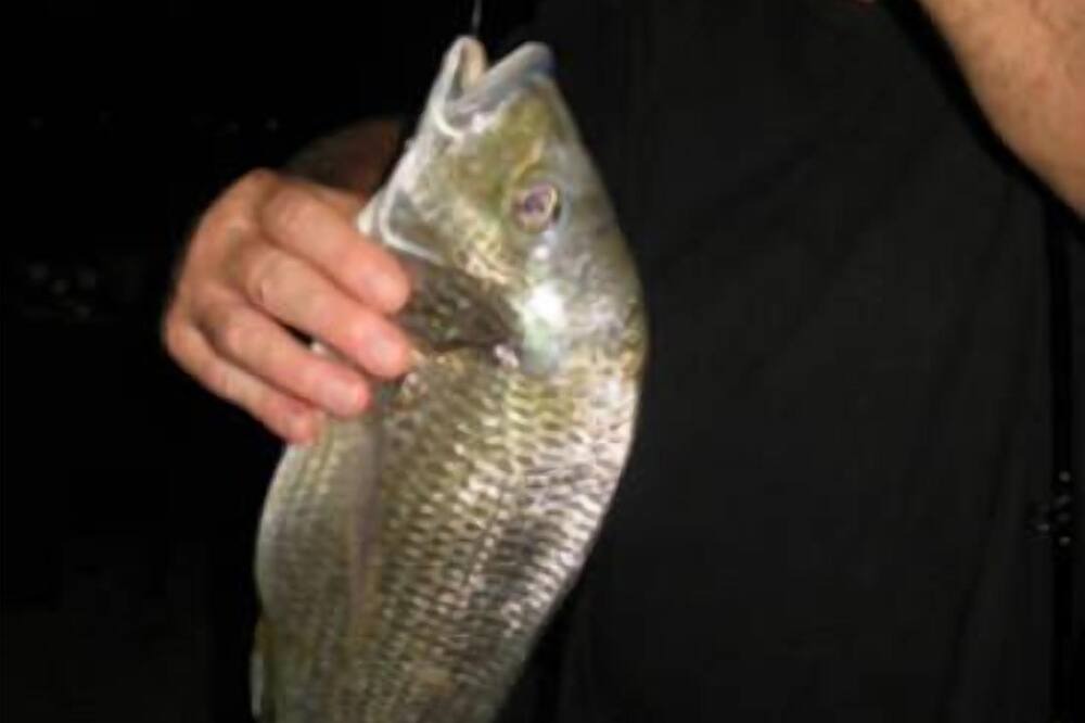 Photo of Others in Berowra Waters