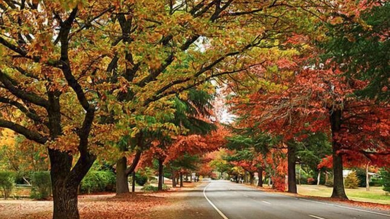 Photo of Outdoor in Porepunkah