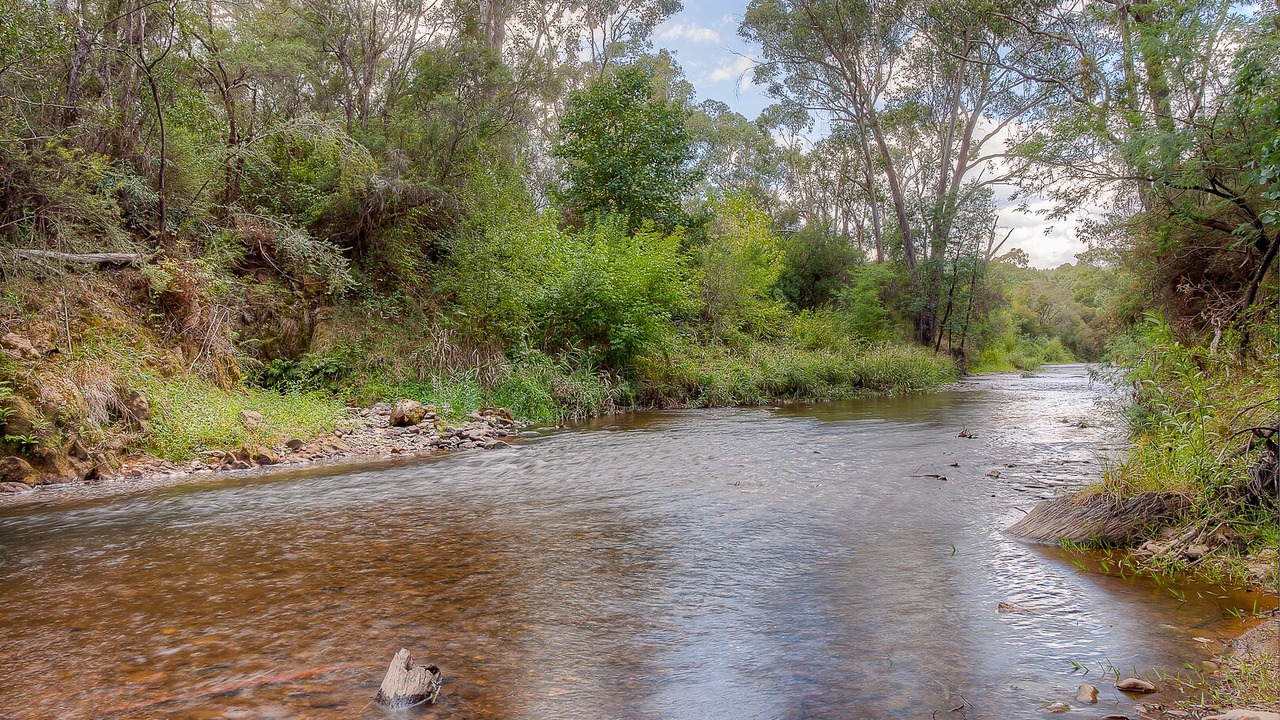 Photo of Outdoor in Porepunkah