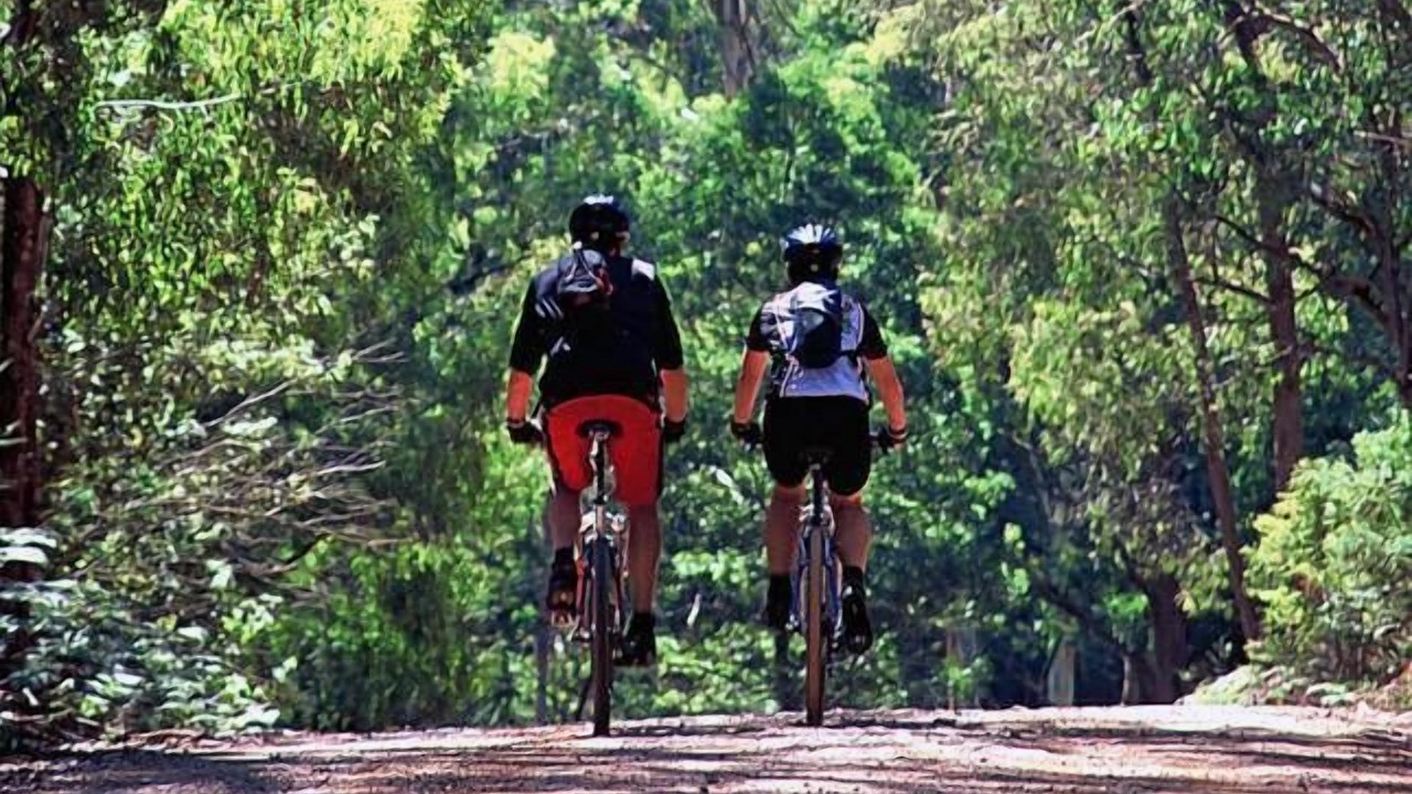 Photo of Others in Porepunkah