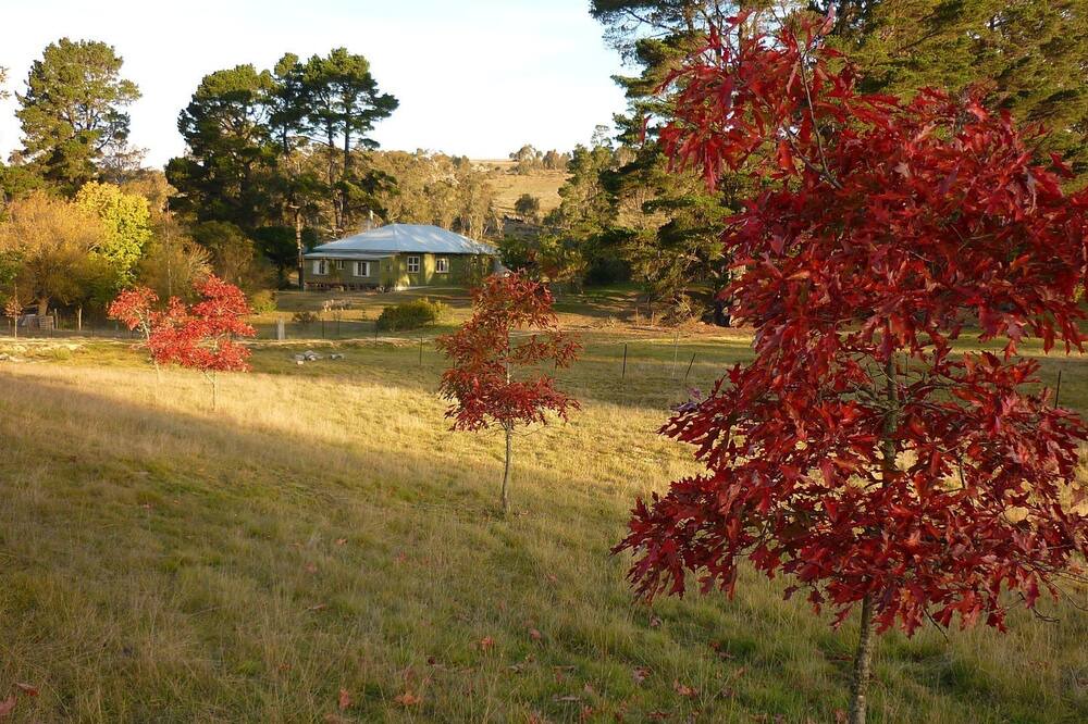 Photo of Outdoor in Nimmitabel