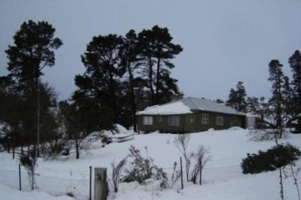Photo of Others in Nimmitabel
