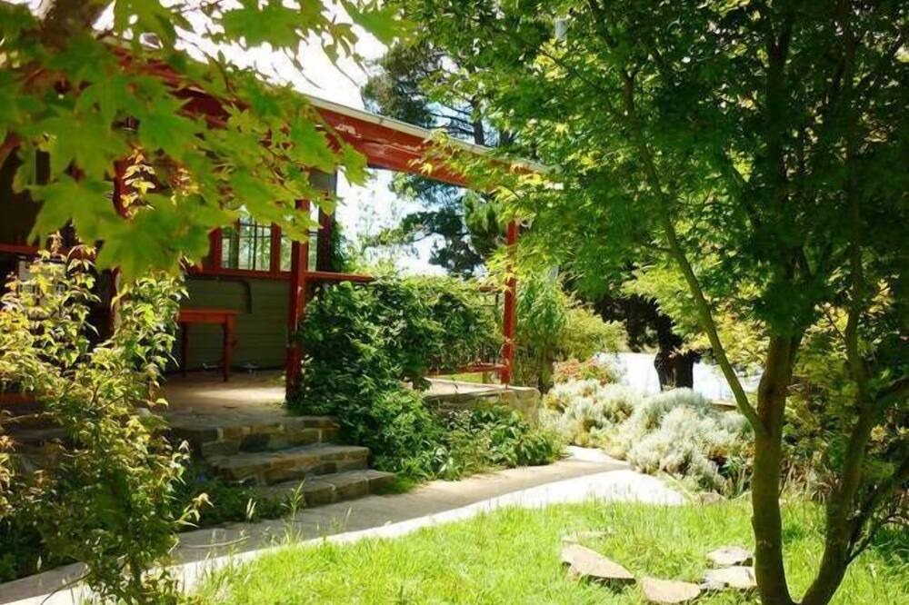 Photo of Outdoor in Nimmitabel