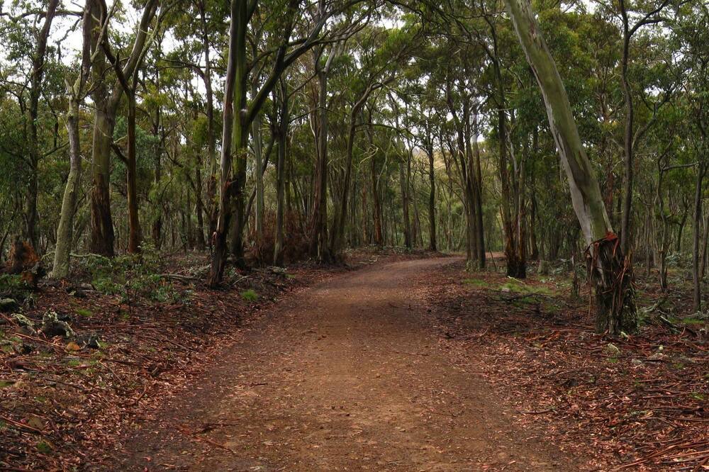 Photo of Outdoor in Nimmitabel