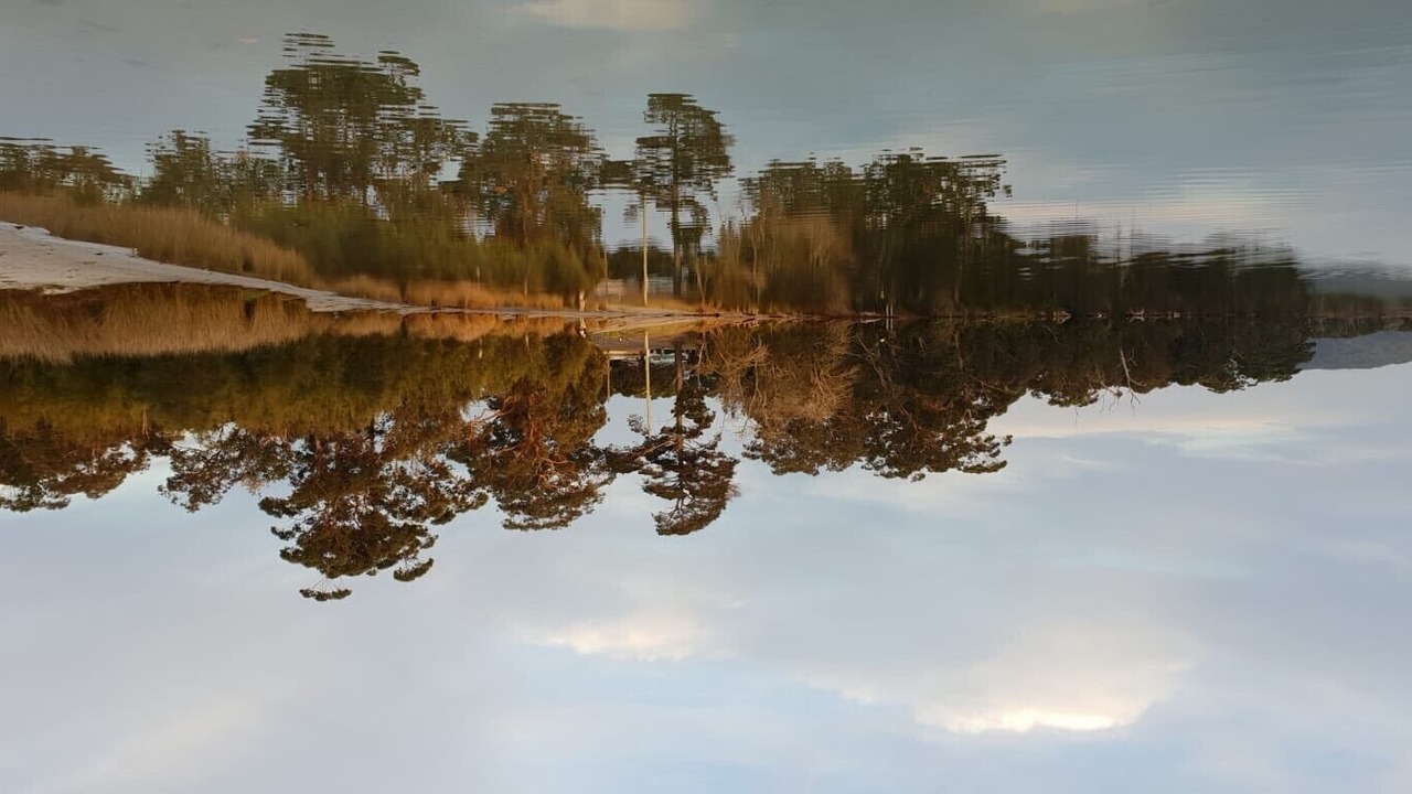 Photo of Others in South Durras